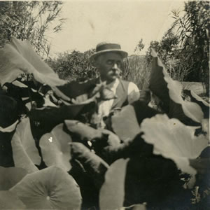 Файл:Townshend Stith Brandegee.jpg