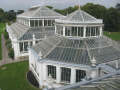 Temperate house