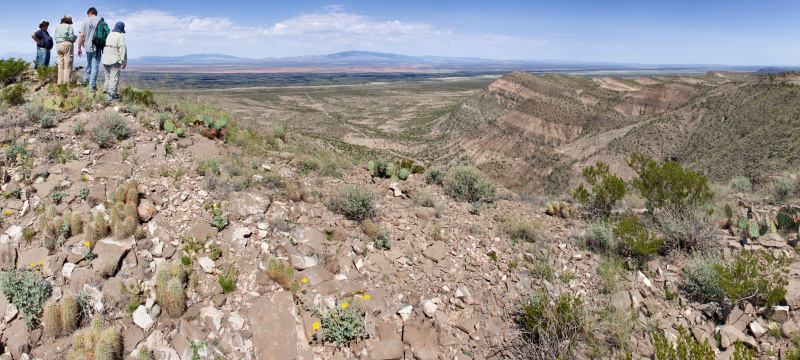 Файл:Op. phaeacantha&Echinocereus cocc 2k.jpg