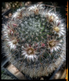 103251206 10222574606824208 5086282629941109309 o.jpg