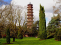 Chinese pagoda