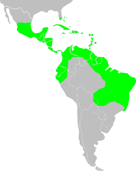 Файл:Pilosocereus map.png