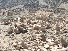 Copiapoa cinerea ssp. haseltoniana habitat.jpg